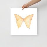 Yellow Butterfly Pastel Watercolor Fine Art Poster