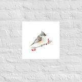 Tufted Titmouse Bird Watercolor Art Print