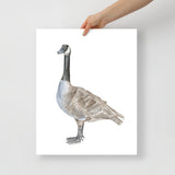 Canadian Goose Watercolor