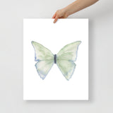 Green Butterfly Pastel Watercolor Fine Art Poster