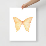 Yellow Butterfly Pastel Watercolor Fine Art Poster