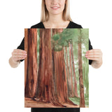 Sequoia National Park Watercolor Fine Art Print Poster - Unframed