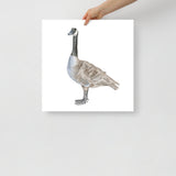 Canadian Goose Watercolor