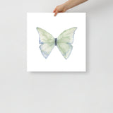 Green Butterfly Pastel Watercolor Fine Art Poster