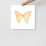 Yellow Butterfly Pastel Watercolor Fine Art Poster