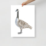 Canadian Goose Watercolor