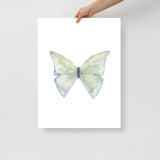 Green Butterfly Pastel Watercolor Fine Art Poster