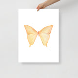 Yellow Butterfly Pastel Watercolor Fine Art Poster