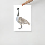 Canadian Goose Watercolor