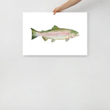 Pink Salmon Fish Watercolor Poster