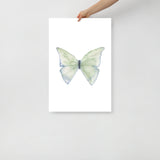 Green Butterfly Pastel Watercolor Fine Art Poster