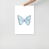 Blue pastel Butterfly Watercolor Fine Art Poster