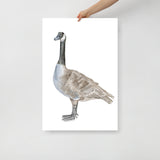 Canadian Goose Watercolor