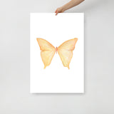 Yellow Butterfly Pastel Watercolor Fine Art Poster