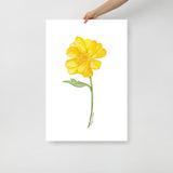 Yellow Buttercup Wildflower Watercolor Fine Art Print Poster