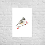 Tufted Titmouse Bird Watercolor Art Print