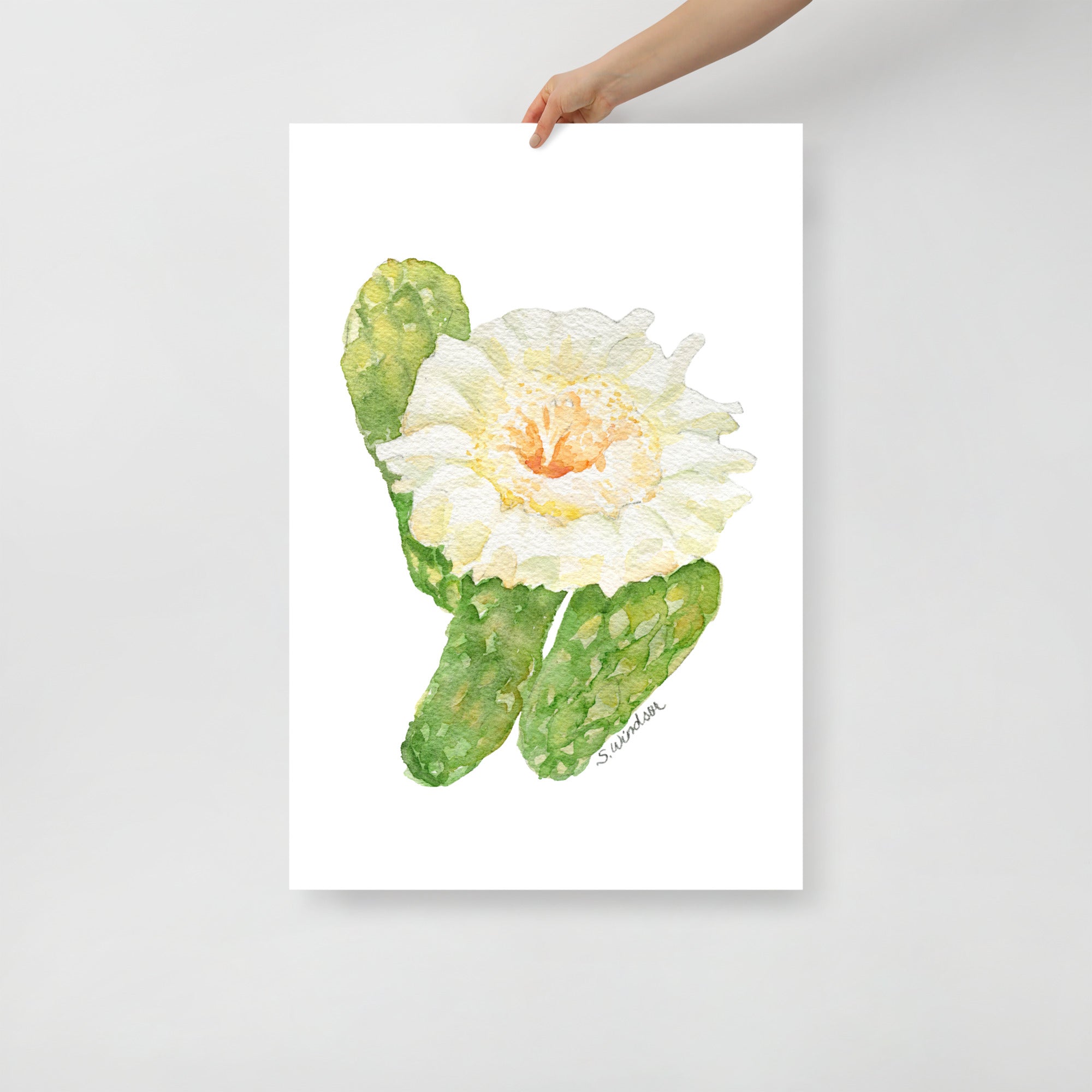 cactus flower poster Saguaro Cactus Blossom Watercolor Fine Art Print UNFRAMED Poster – Susan  Windsor