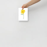 Yellow Buttercup Wildflower Watercolor Fine Art Print Poster