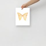 Yellow Butterfly Pastel Watercolor Fine Art Poster