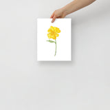 Yellow Buttercup Wildflower Watercolor Fine Art Print Poster