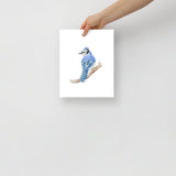 Blue Jay Watercolor Fine Art Poster