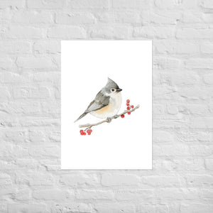 Tufted Titmouse Bird Watercolor Art Print