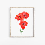 Red Poppies Watercolor Fine Art Larger Poster Print - UNFRAMED