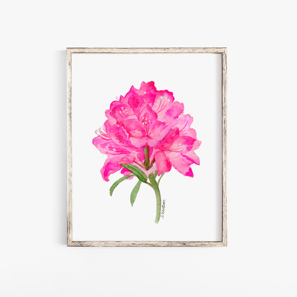 Pacific Rhododendron Floral Watercolor Painting - Giclee Print UNFRAMED Poster