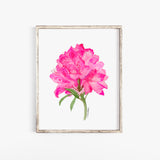 Pacific Rhododendron Floral Watercolor Painting - Giclee Print UNFRAMED Poster