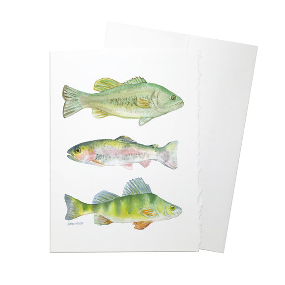 Three Fish Watercolor Greeting Card