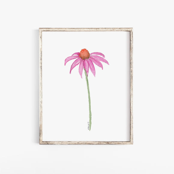 Pink Coneflower Wildflower Echinacea Daisy Watercolor Print