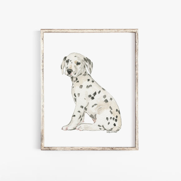 Dalmatian Puppy Dog Watercolor