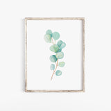 Eucalyptus Watercolor Art Print