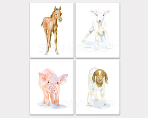 Farm Animal Art Print Set One - Set of 4 Animals - Horse Lamb Pig Goat
