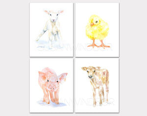 Farm Animal Art Print Set One - Set of 4 Animals - Lamb Pig Cow Chick