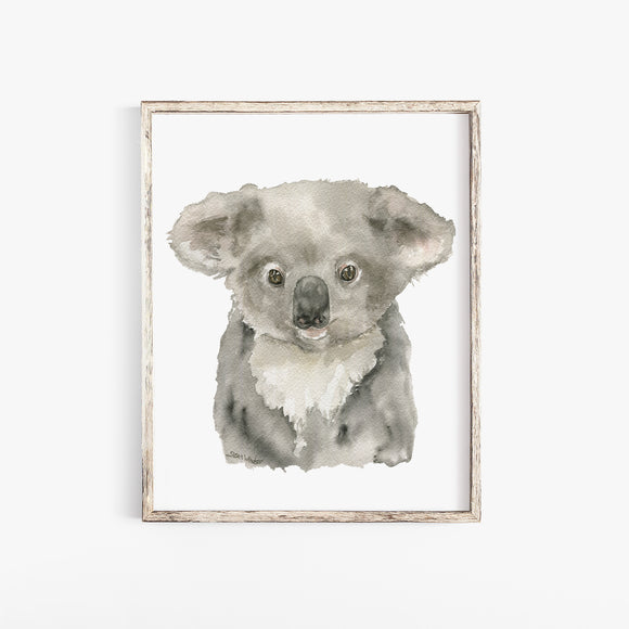 Koala Baby Watercolor