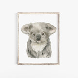 Koala Baby Watercolor