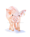 Farm Animal Art Print Set One - Set of 4 Animals - Lamb Pig Cow Chick