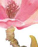 Magnolia Flower Original Watercolor Painting