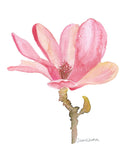 Magnolia Flower Original Watercolor Painting