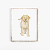 Yellow Labrador Puppy Dog Watercolor