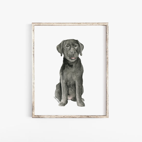 Black Labrador Puppy Watercolor
