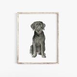 Black Labrador Puppy Watercolor