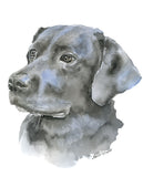 Custom Pet Portrait Watercolor Painting - 8 x 10 - Cat Portrait - Dog Portrait - Bunny Portrait