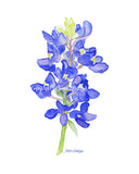 Bluebonnet Tea Towel