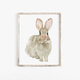 Cottontail Bunny Rabbit - Front - Watercolor Art Print