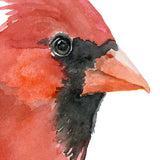 Red Cardinal Original Watercolor Painting
