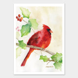 Cardinal and Holly Watercolor Christmas Card Set