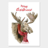 Merry Christ"moose" with Scarf Christmas Card Set