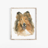 Collie Watercolor Dog Portrait Fine Art Print